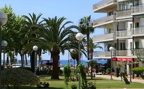 Rentalmar Delfos Playa